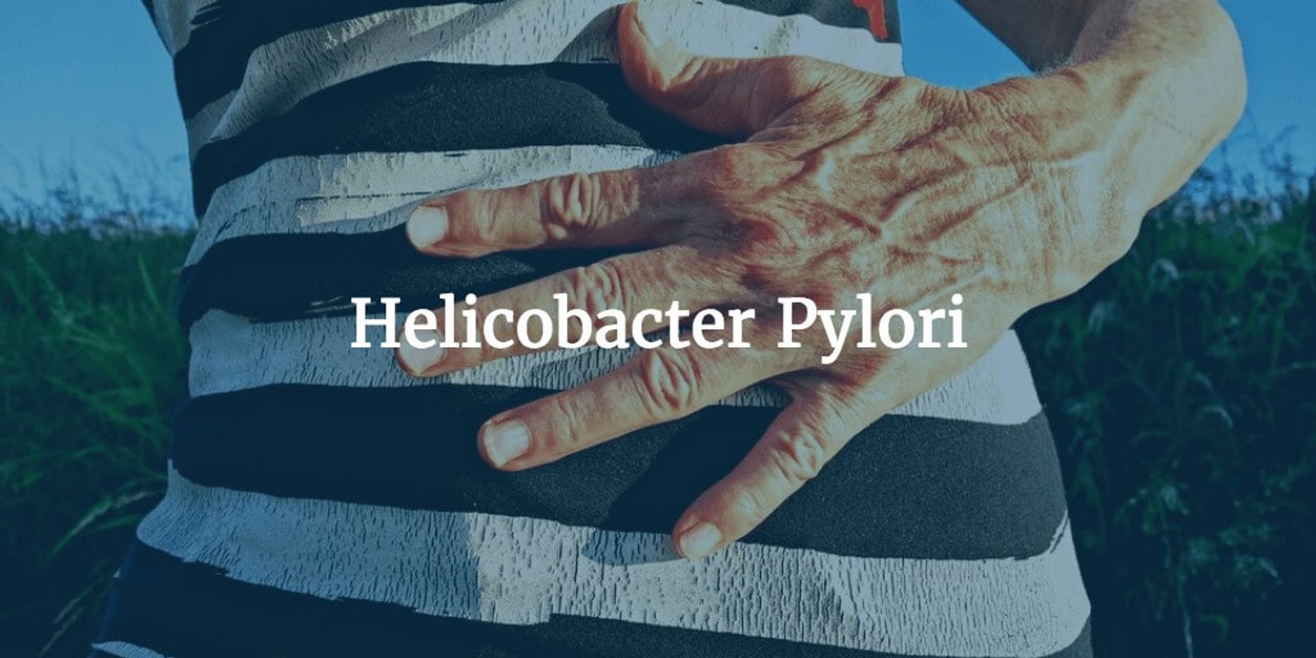 Helicobacter Pylori Causas Síntomas Diagnóstico Tratamiento y