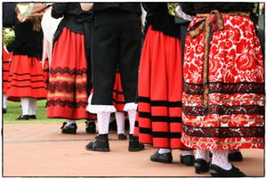 Un estudio de genética de poblaciones asegura que el 99% de los gallegos ¡son