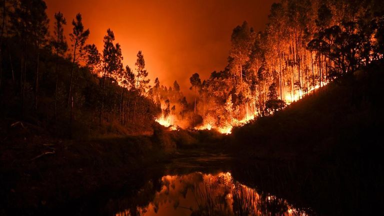 Incendio de Pedrógão Grande, en Portugal: 61 muertos y 59 heridos