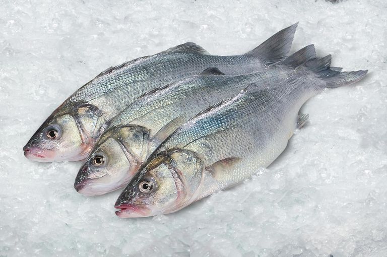 Tipos de especies de pescado semigraso de consumo habitual