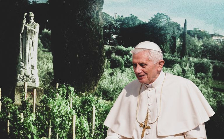 Del “viñedo de Ratzinger” al de Francisco: El papa vuelve a cultivar vino