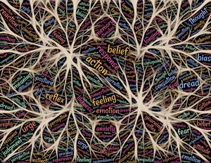 https: Descubren ondas cerebrales que se activan en la muerte ¿Está pasando la vida ante nuestros ojos?